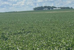 Lura Twp Section 19 & 20